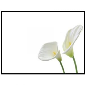 Large Funeral Memorial Cards - 9.5 x 12cm