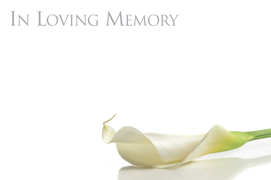 4 pack Funeral Floristry Cards small 6 x 9cm with clear cello envelopes