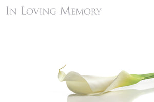 4 pack Funeral Floristry Cards small 6 x 9cm with clear cello envelopes
