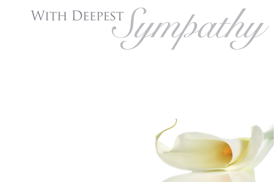 4 pack Funeral Floristry Cards small 6 x 9cm with clear cello envelopes