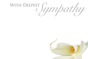 4 pack Funeral Floristry Cards small 6 x 9cm with clear cello envelopes