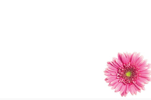 ShredAstic®️ flower Message Cards friend Mum small 6 x 9cm