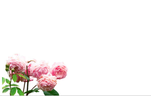 Blank Peony Funeral Message Card large 9 x 12 cm / cello bag