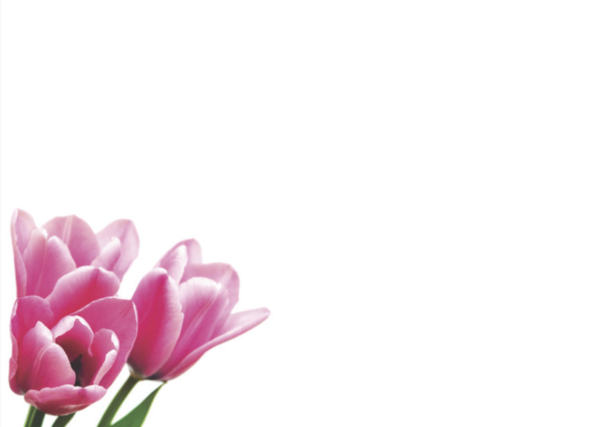 ShredAstic®️ flower Message Cards friend Mum small 6 x 9cm