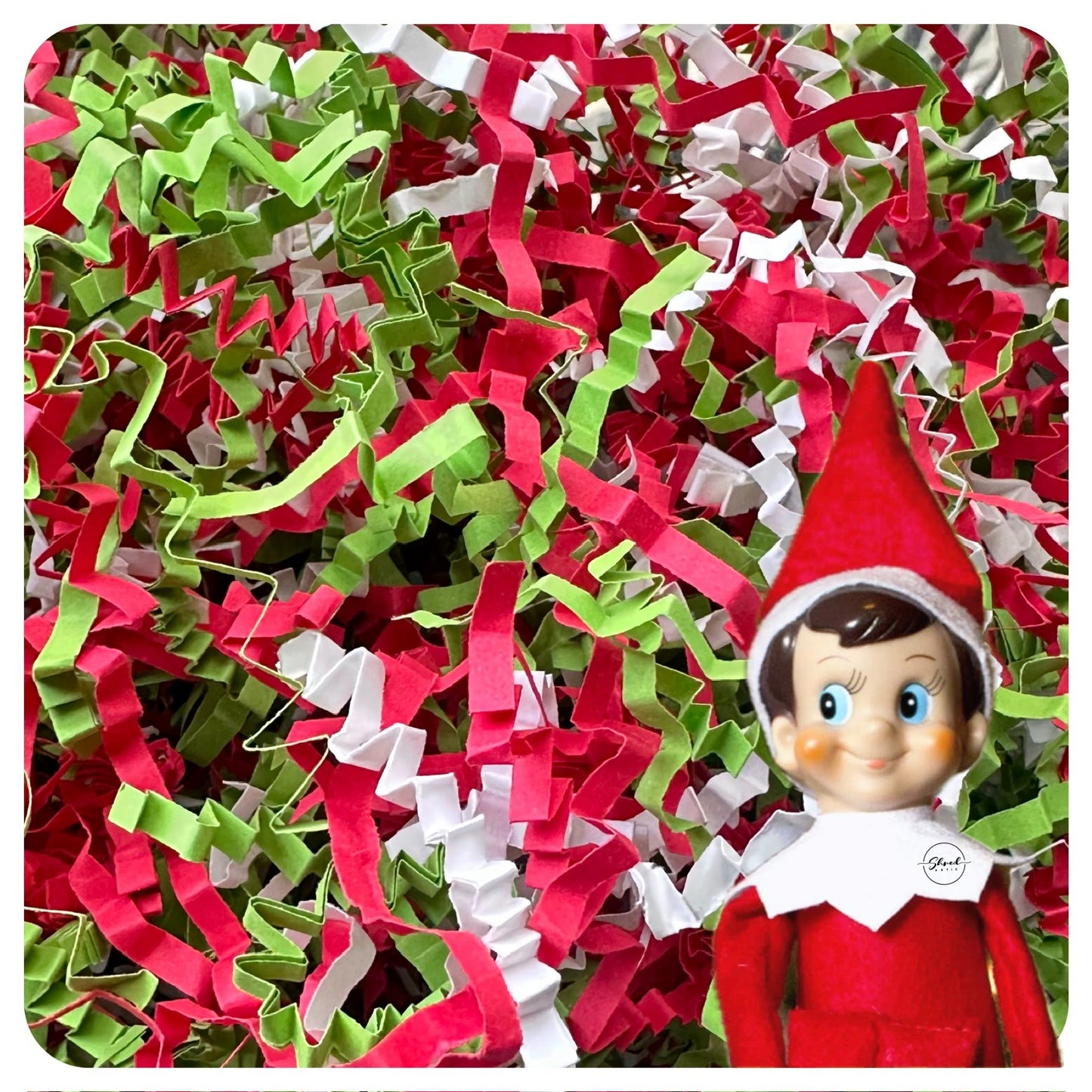 Elf - Red, White, Green ZZ Mix