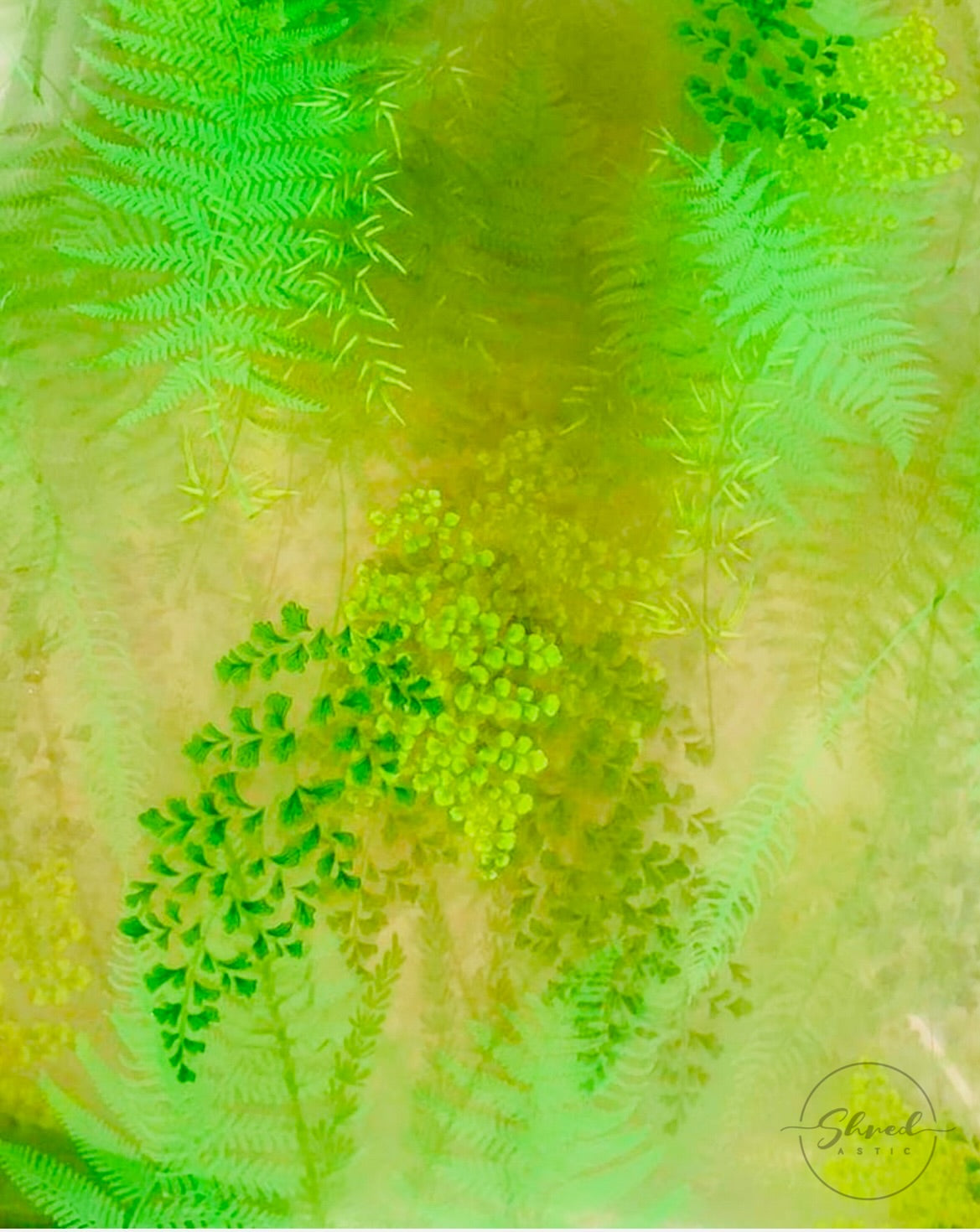 Botanical Cellophane