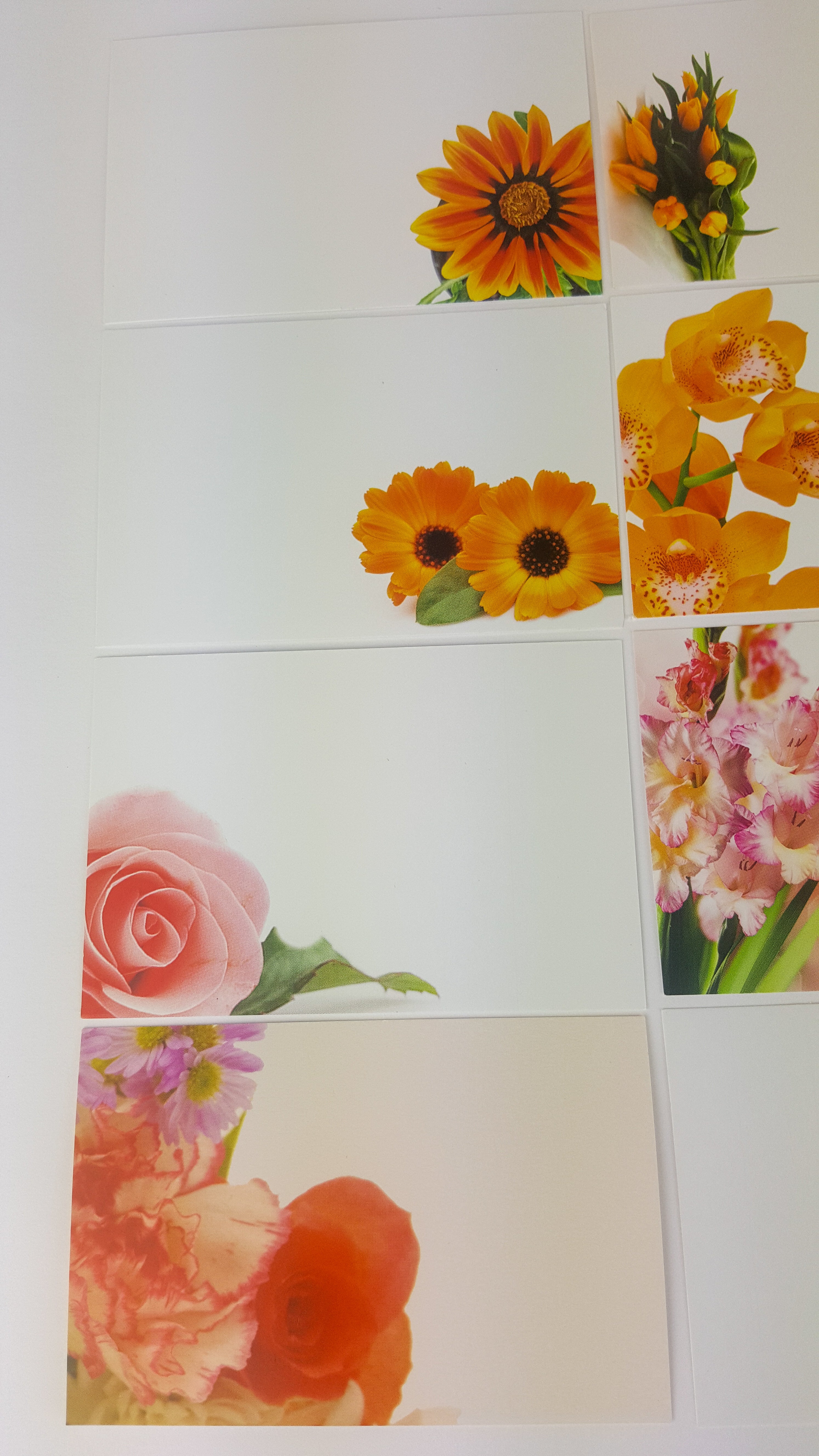 Oranges (Pack of 12) Florist Message Cards small 6 x 9cm
