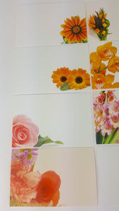 Oranges (Pack of 12) Florist Message Cards small 6 x 9cm