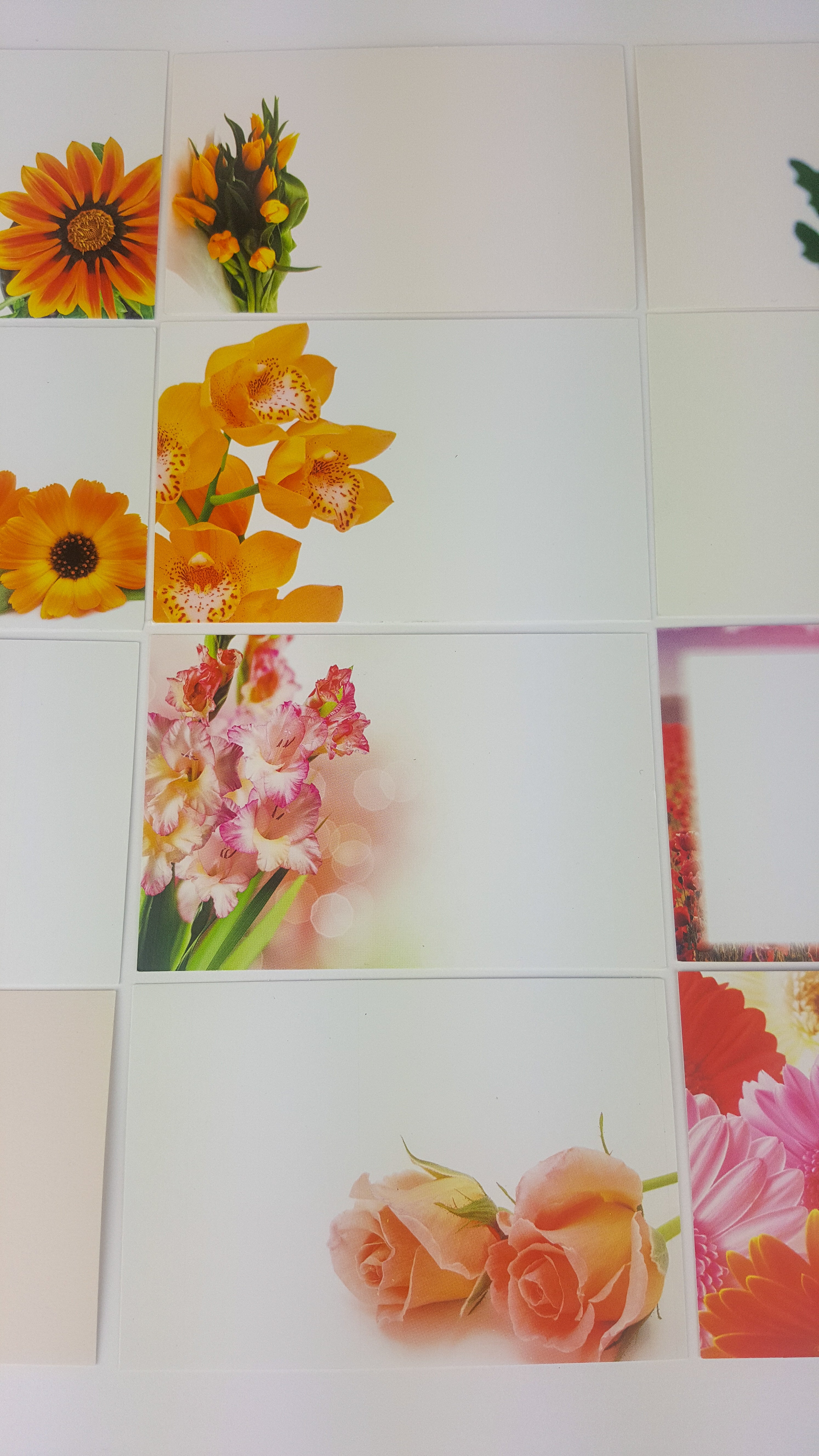Oranges (Pack of 12) Florist Message Cards small 6 x 9cm