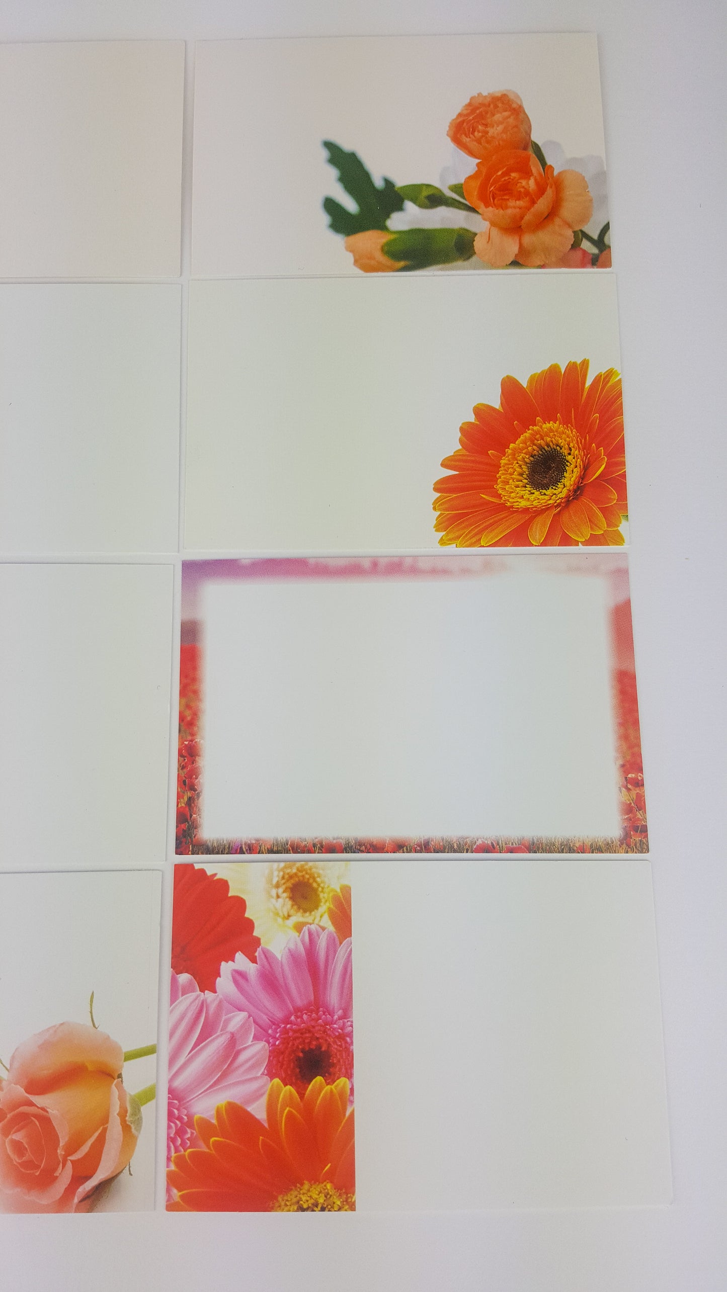 Orange (Pack of 12) Florist Cards 6 x 9cm