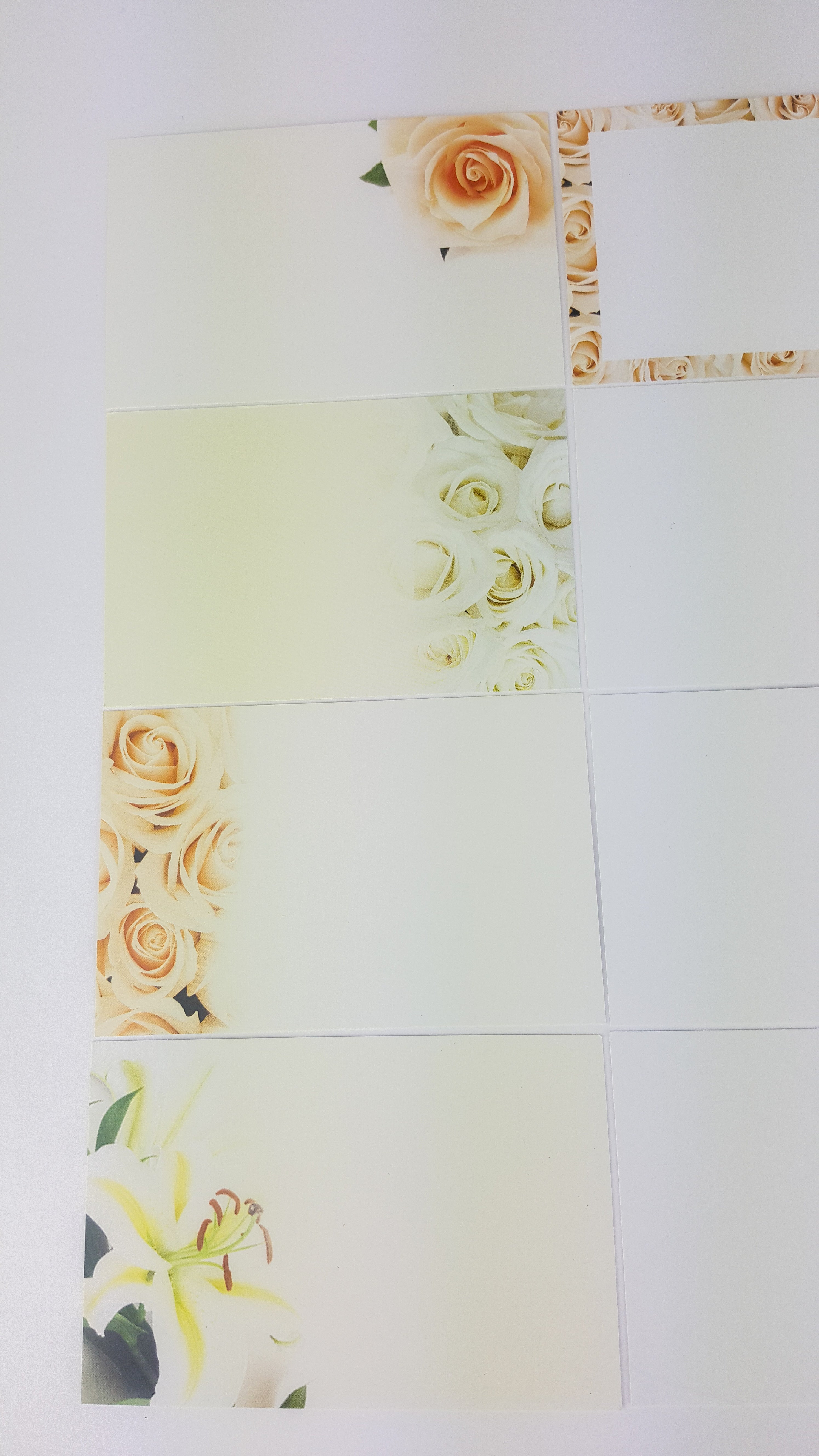 Peach, Blush, Bridal (Pack of 12) Floristry Cards