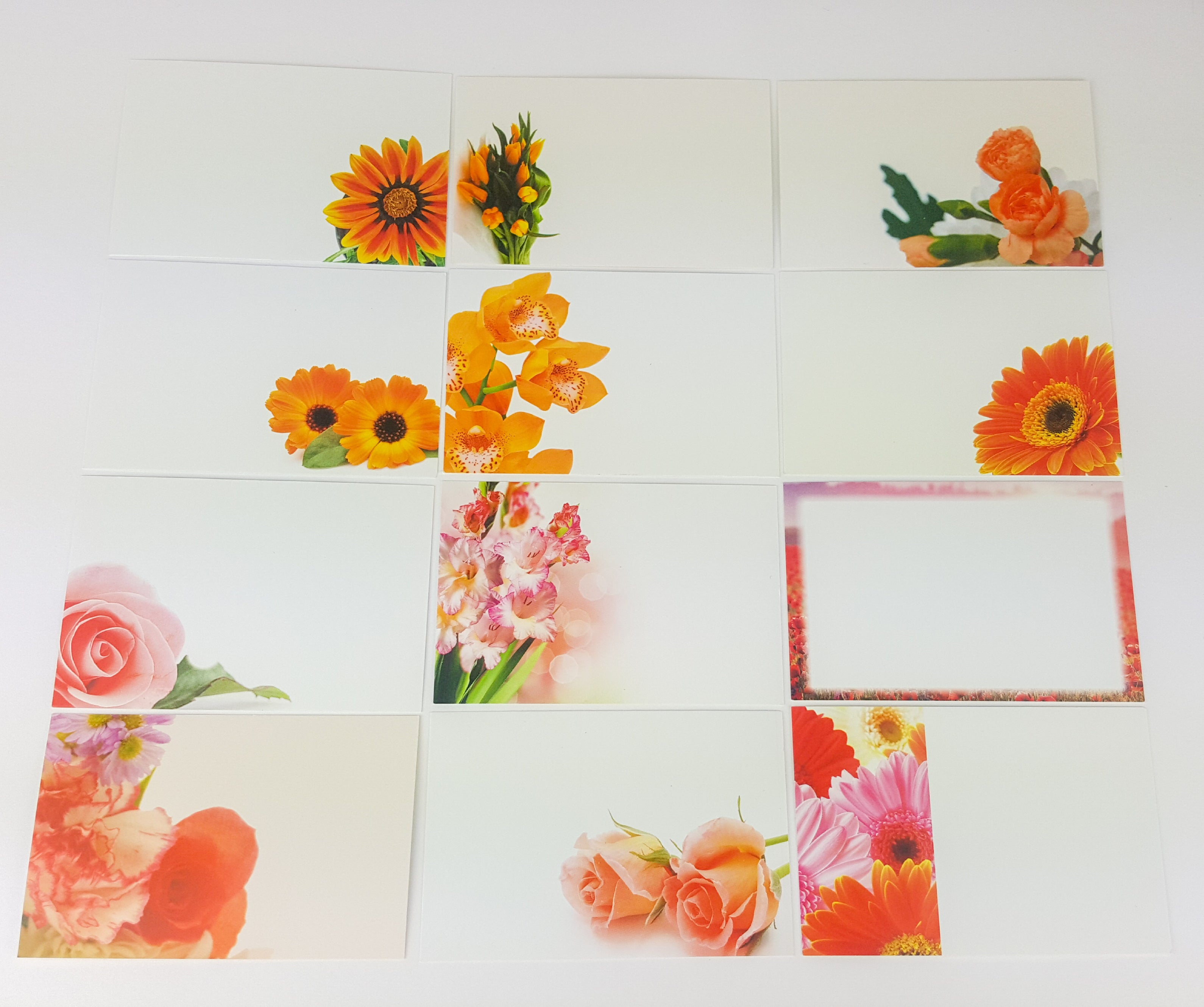 Oranges (Pack of 12) Florist Message Cards small 6 x 9cm
