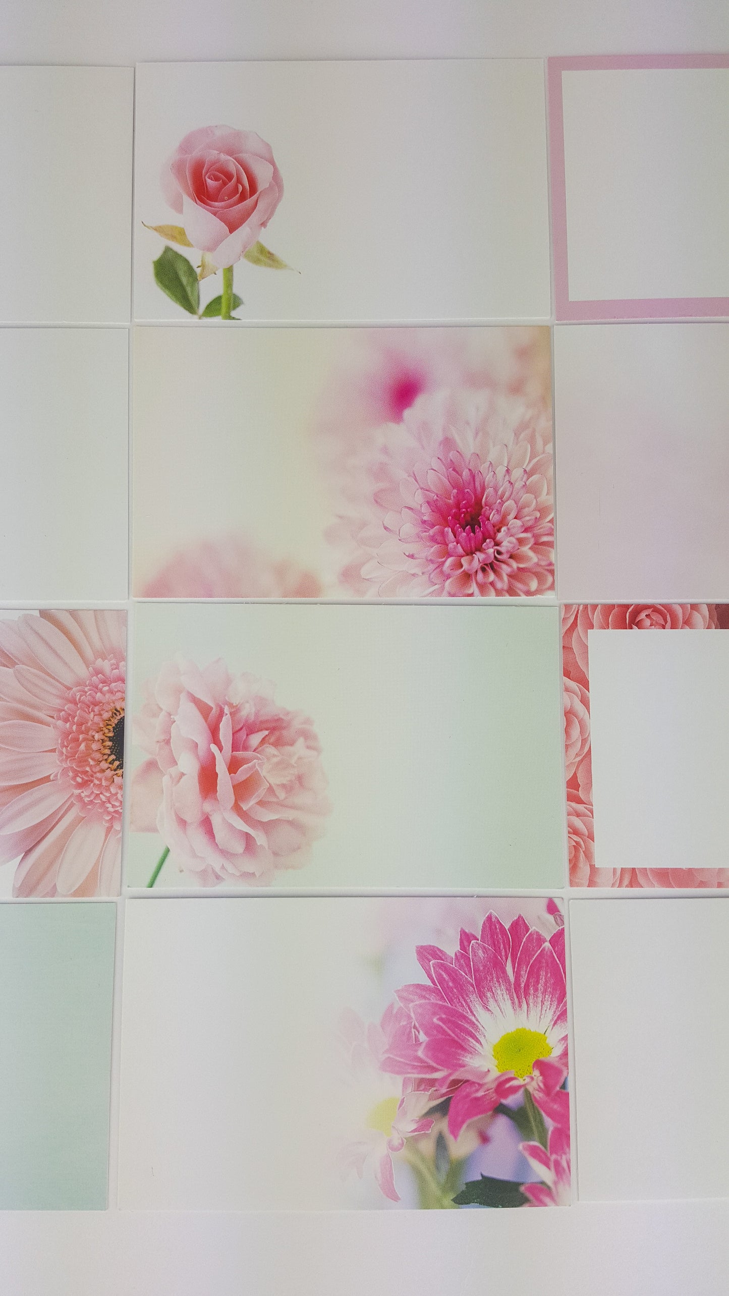 Pink (Pack of 12) Florist Cards 6 x 9cm